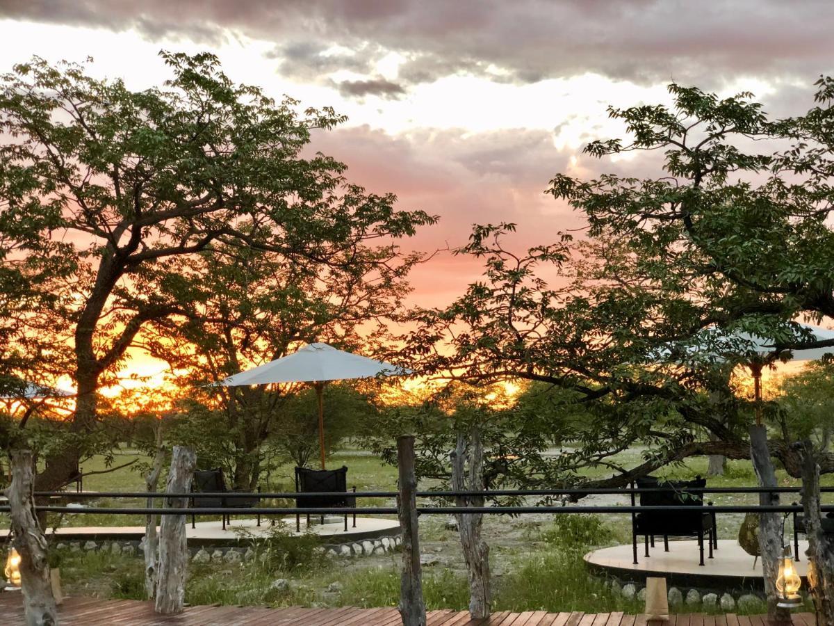 Etosha Oberland Lodge Okaukuejo Exteriér fotografie