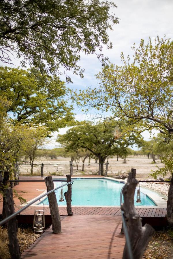 Etosha Oberland Lodge Okaukuejo Exteriér fotografie